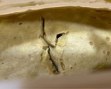 蕎麦粉バナナヨーグルトのレンチン蒸しパン作り方5写真