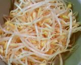 レンジでチンするだけ！簡単もやしナムル作り方1写真