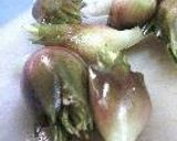 茗荷さんが。作り方1写真