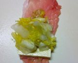 お弁当おつまみに♪わさびチーズ白菜肉巻き作り方3写真