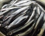 超簡単一夜干し作り方3写真