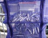 超簡単一夜干し作り方4写真