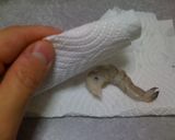 絶対絶品!コロやま秘伝の…★エビマヨ☆作り方3写真