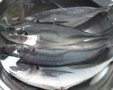 アジフライ　鰺のさばき方作り方1写真