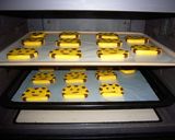 トラねこクッキー作り方31写真