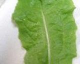 夏をあきらめて・・・・作り方48写真