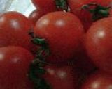 夏をあきらめて・・・・作り方53写真