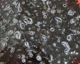 〔常備菜〕水っぽくない白和え作り方2写真