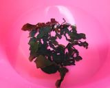 簡単❣ ふわふわ卵わかめスープ作り方1写真