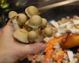 マーボー野菜♪作り方2写真
