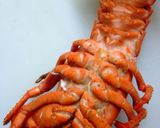オマールの白菜ロール作り方8写真