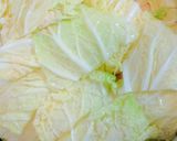 さむ〜い日に！白菜と豚バラお肉スープ煮作り方2写真