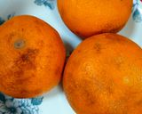 難あり？傷あり？の八朔が完熟のしるし？作り方1写真
