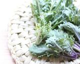 プチベールの豆腐酒粕発酵グラタン作り方1写真