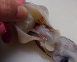 秋三昧💫イカ・里芋•大根•しめじの簡単煮物作り方1写真