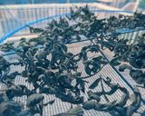 ヨモギ茶作り方3写真