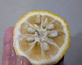 ボラの白子のポン酢和え作り方7写真