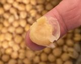 ひよこ豆の味噌作り方3写真