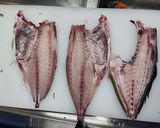 すっごい丁寧！三枚おろし 市場より作り方11写真