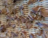 しょうがシロップ作り方7写真