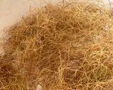 とうもろこしのひげ茶作り方4写真