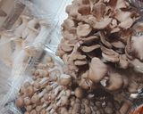 きのこの炊き込みご飯作り方2写真