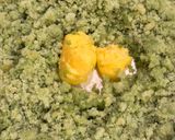 ゴーヤで作る野菜のチーズケーキ作り方2写真