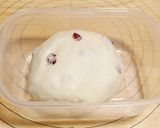 【発酵種】ヨーグルト種クランベリーパン作り方11写真