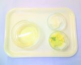【離乳食初期】白菜と大根のペースト作り方1写真