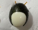 お弁当に！！ゆで卵deとなりのトトロ作り方6写真