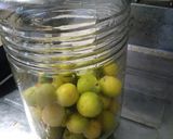 梅干し　昔ながらの味の強さ　簡単作り方3写真