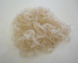 蓮根のカレーきんぴら作り方4写真