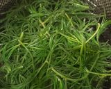 夏の冷やしぶっかけ蕎麦作り方3写真