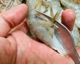 タコの海岸物語🐟🐙🍤🤣😂🤣😂作り方1写真