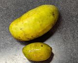 幻のフルーツ！ポポーの食べ方作り方1写真