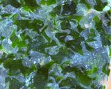 生わかめの下処理と切り方🌿作り方7写真