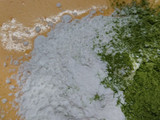 濃い抹茶の米粉ロールケーキ