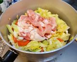 春キャベツと春にんじんのカレー作り方8写真