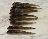 マハゼの天ぷら🍤〜簡単調理🔪〜作り方1写真