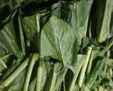 ほうれん草としめじのソテー作り方1写真