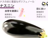 海老とナスのトムヤムクン風スープ作り方10写真