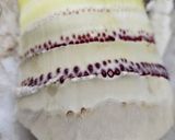 生産者さんに聞いた！秒で筍の皮剥き作り方6写真