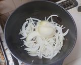 酸味4種比較チキンカレー作り方9写真
