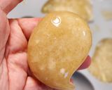 ハロウィンに鍋食べよ♪おばけ味噌おろし鍋作り方3写真