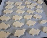 eクッキー・米粉とふなずし飯でびわ湖感じ作り方4写真