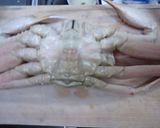 ズワイガニの仕込み作り方1写真