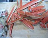 ズワイガニの仕込み作り方4写真