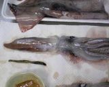 これもイカ飯♪炊き込みおこわ作り方3写真