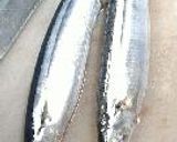 キノコと秋刀魚漬。作り方1写真