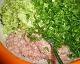 海苔餃子♪作り方2写真